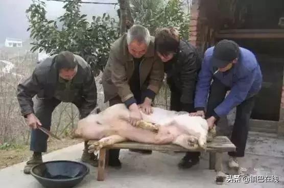 沸腾了烟火气息,沸腾巴渝最新视频