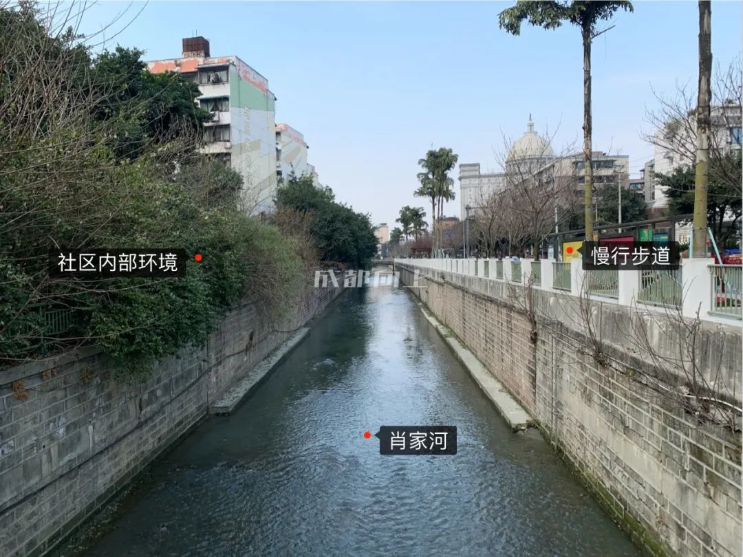 成都绿道风景美如画,成都周边哪条河边绿道最美