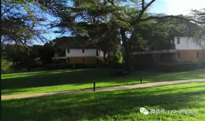 这个野奢的国度，欧美、日韩人都爱去，为何我们国家没人去？