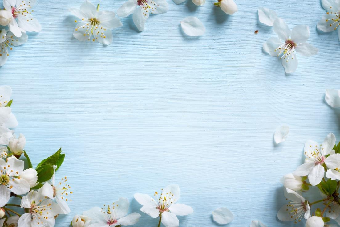 天秤座的安全感和偏爱怎么给,深度剖析天秤座性格特点