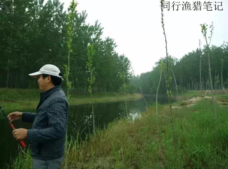 钓鱼记录2019,最新的钓鱼日记