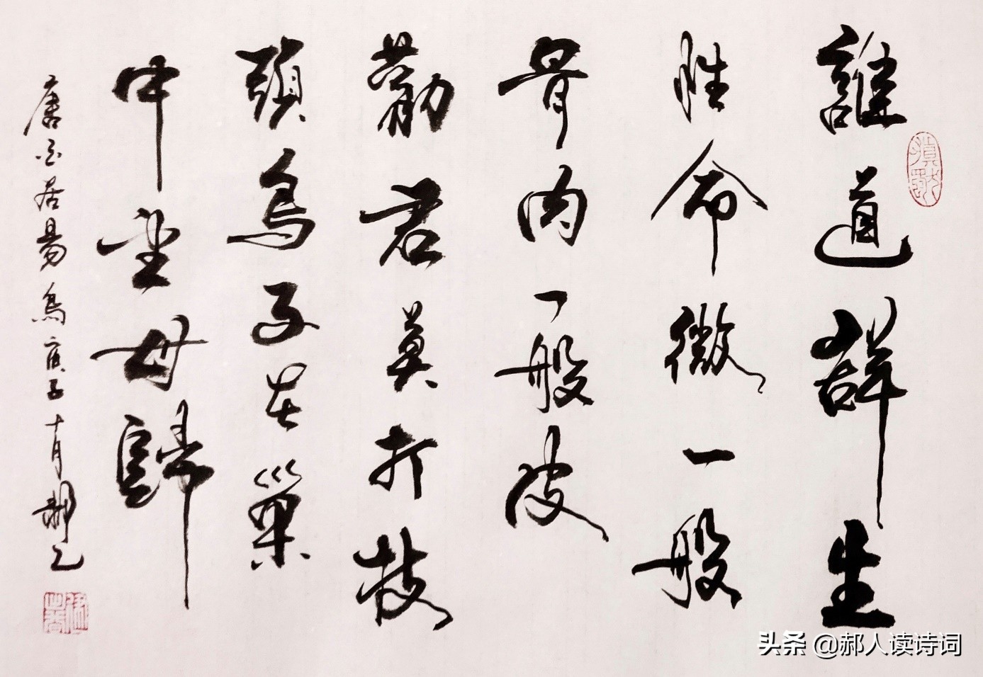 人类与自然和谐共生的诗,人类自然和谐共生古诗