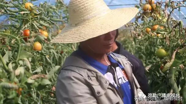 弥勒这一家子,穷!穷!富!富