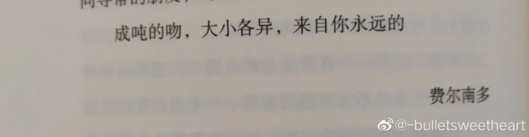 六月我的好物完整版,六月好物分享推荐