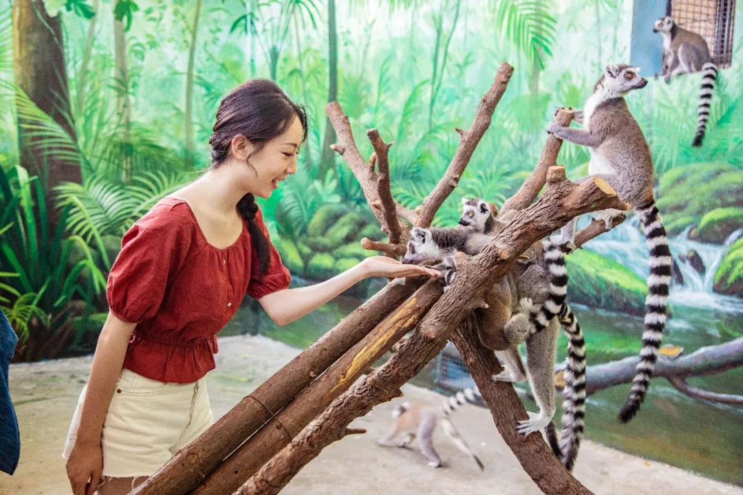 泉城欧乐堡动物王国二日游,十一假期泉城欧乐堡动物王国