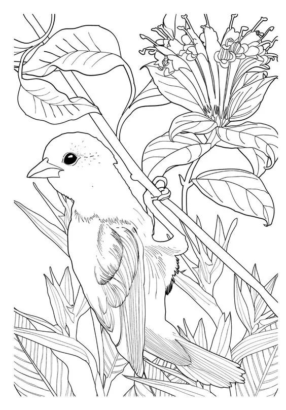 画画入门教程干货博主,基础入门画画必知