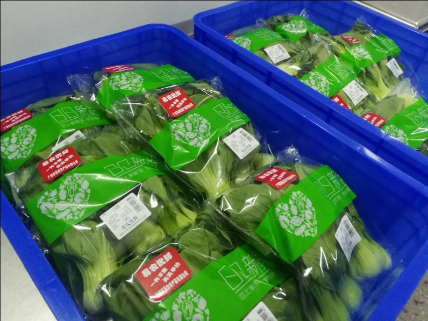 商铺开店经营模式,商铺倒闭的商业模式