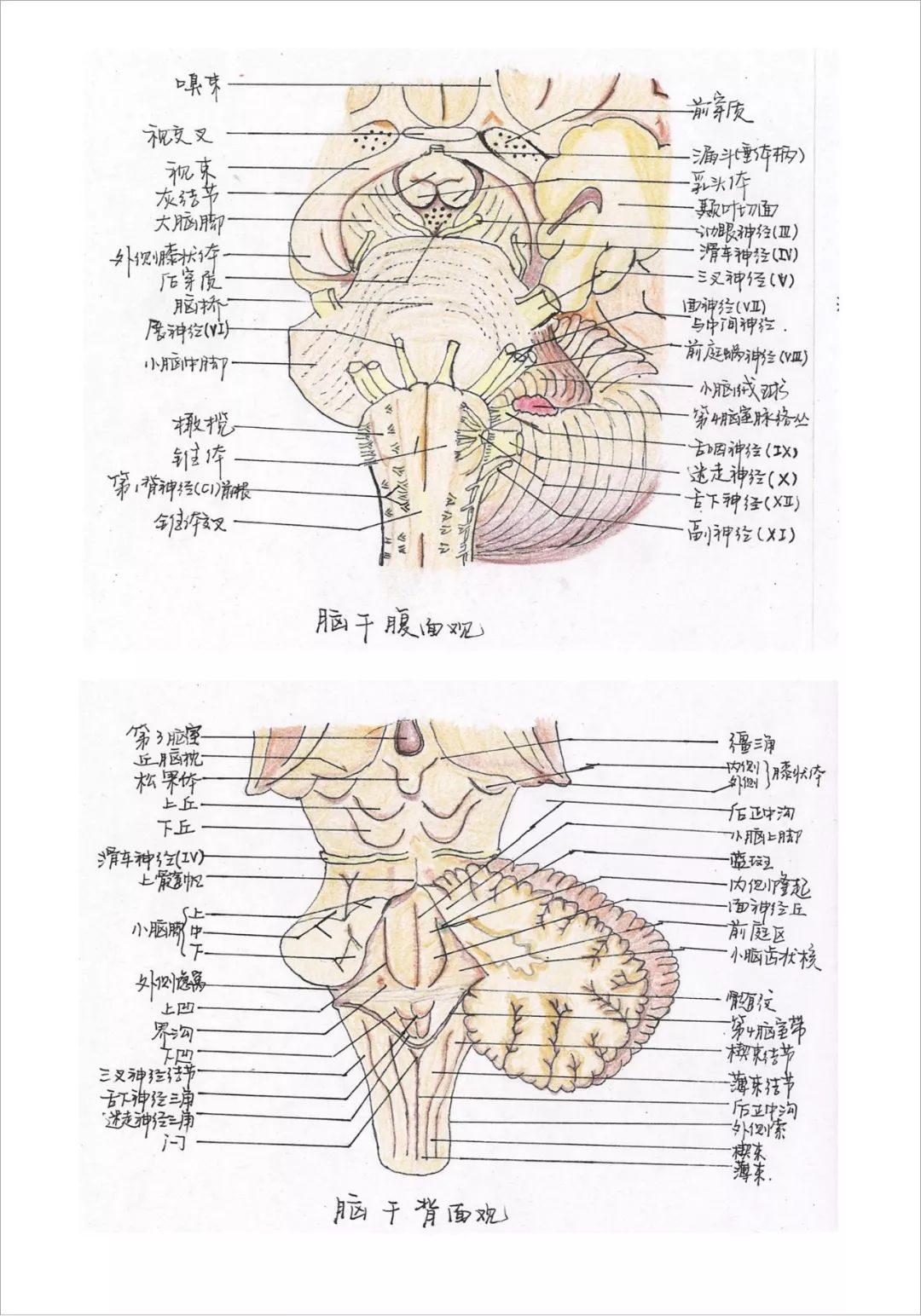 当医生很累都要值夜班,当医生到底有多累