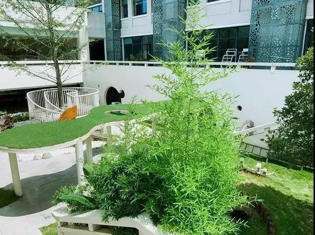 龙泉最贵的幼儿园,成都龙泉驿区最贵的幼儿园