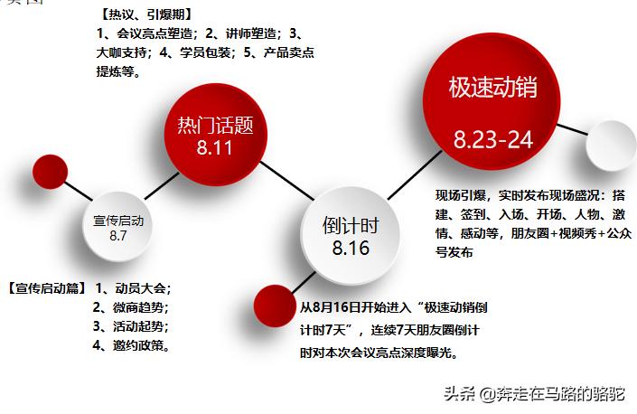 公司品牌运营案例,某品牌营销策划