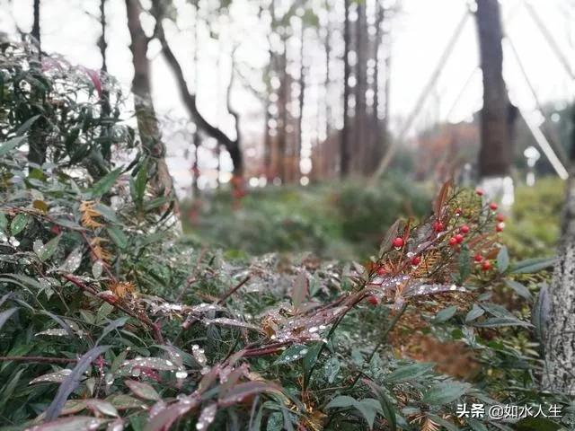 北方的冬天,北方的冬天温暖