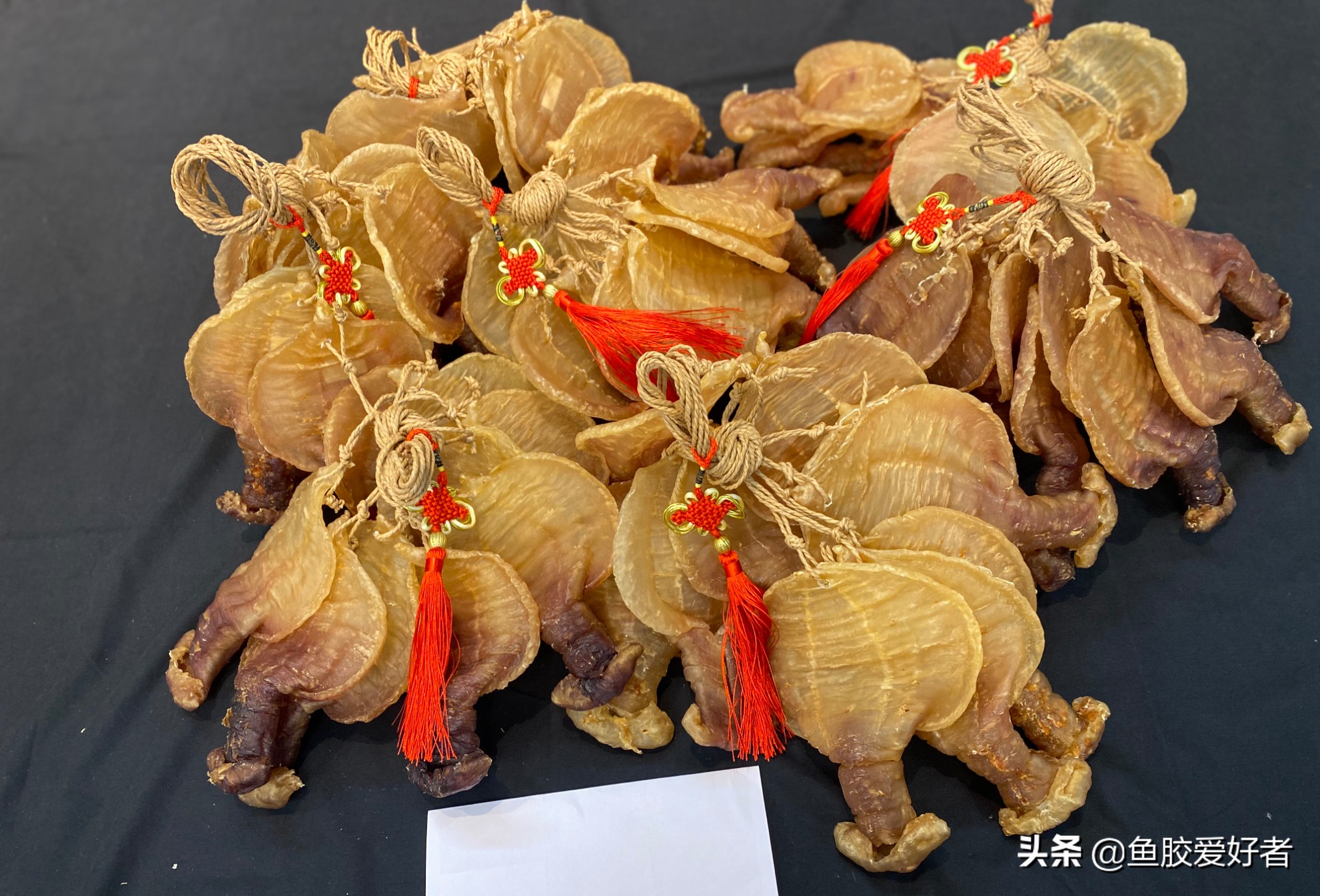 新手买鱼胶买什么好,网上买鱼胶要注意什么