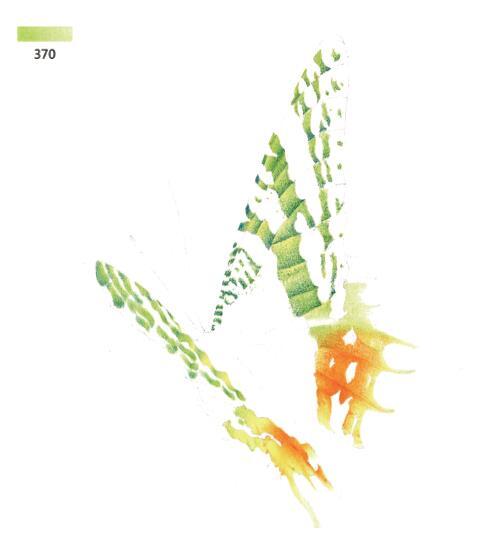 3d错觉画教程,3d错觉画作品