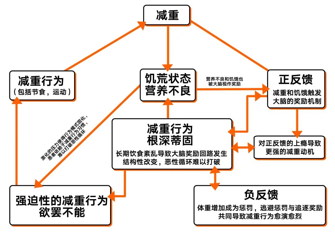减肥减到厌食症多次险些丧命,减肥厌食怎么恢复快点