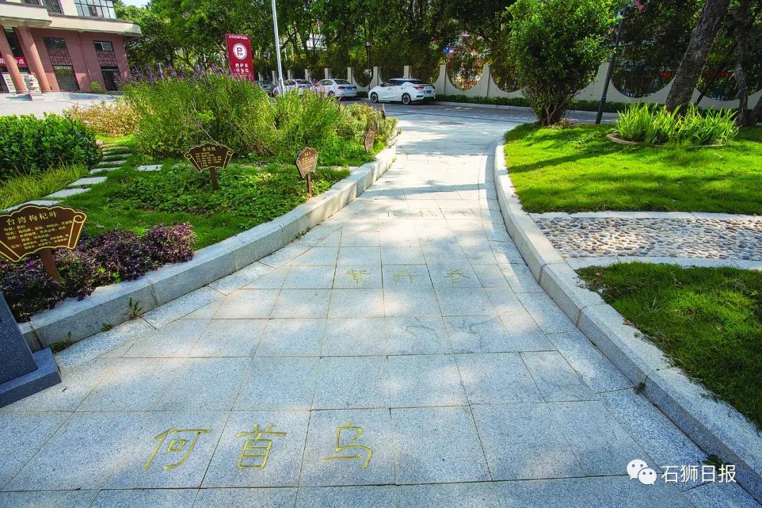 石狮中医院什么时候开,石狮市中医院什么时候开业