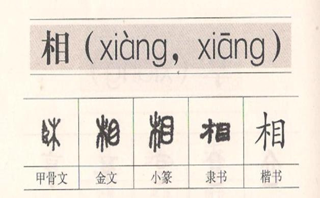 猜谜语有答案小学语文,一年级同步练习语文猜谜语