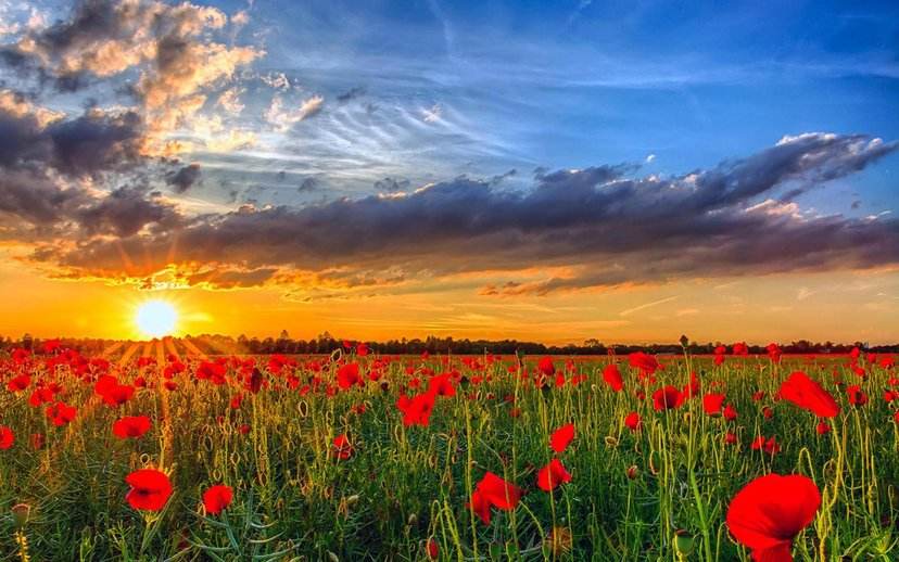 九月中,一见倾心,两情相悦,海枯石烂,相濡以沫,至死不渝