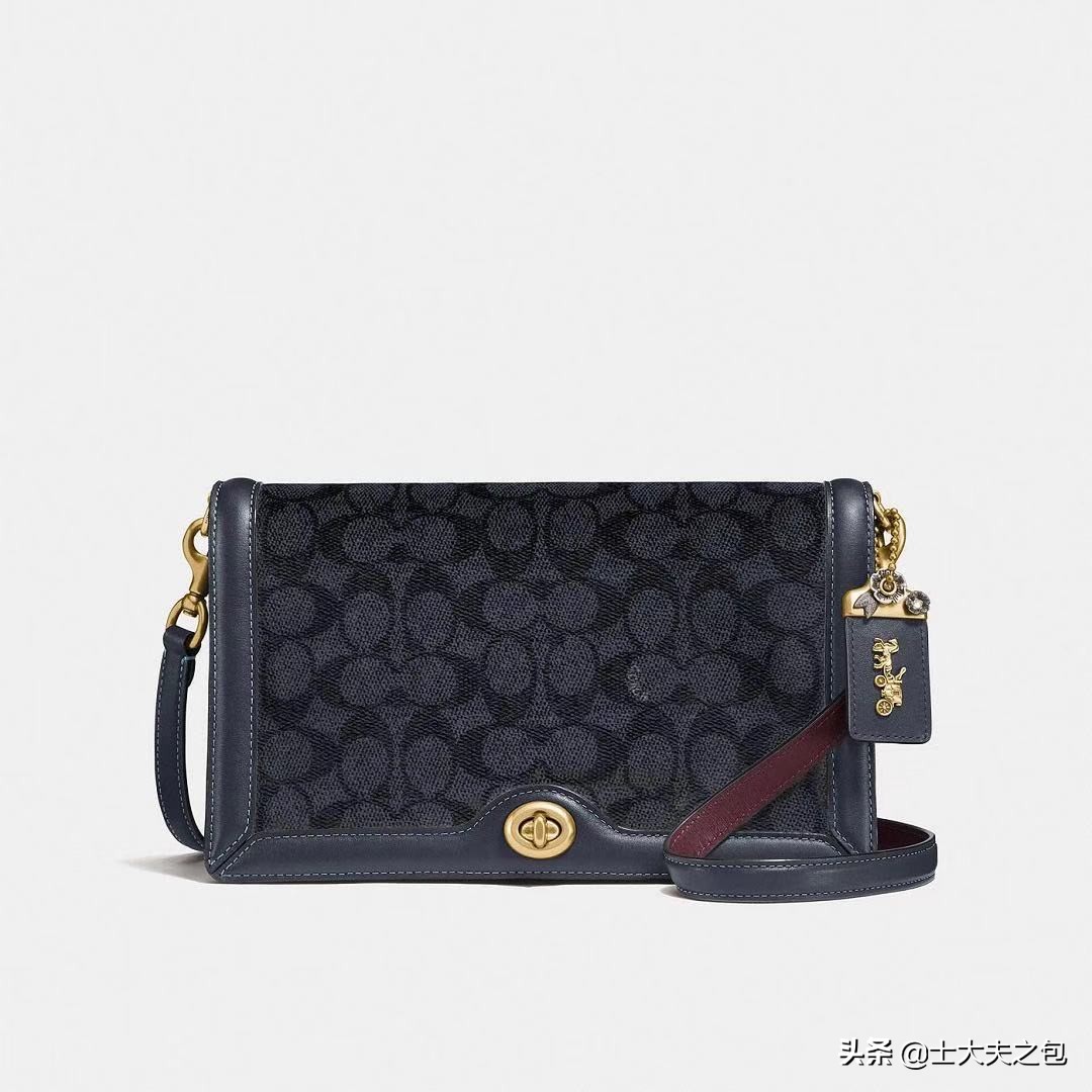 第二十一期——普及率极高的COACH