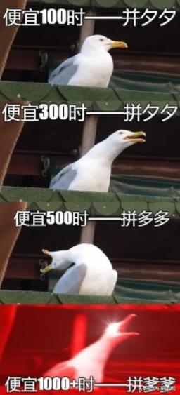 聚美优品陈欧为自己代言品牌故事,我是陈欧我为自己代言广告完整