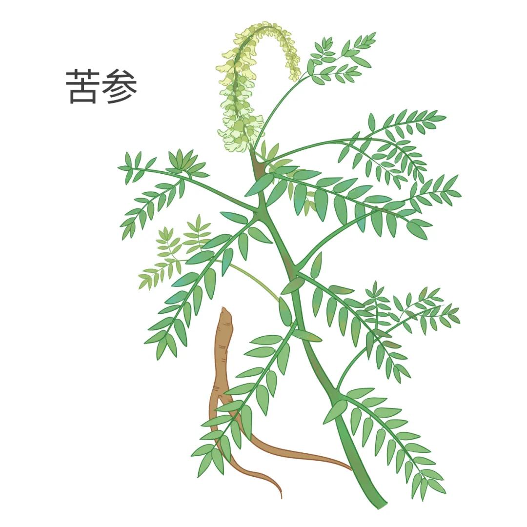 春季皮肤过敏吃什么抗过敏药,春季易过敏教你几个抗敏妙招