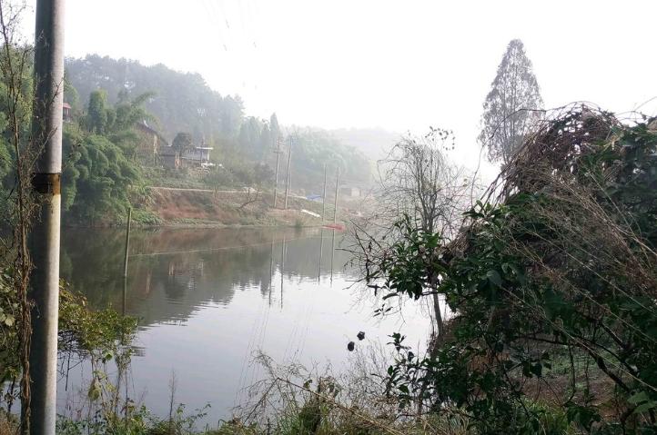 水库网箱养殖经济效益怎么样,综合养鱼怎么经济效益最好