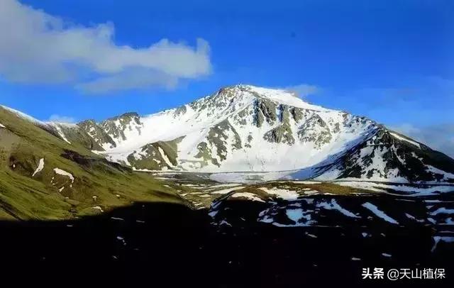 大美新疆百里画廊,北疆千里画廊打卡点