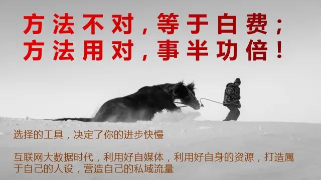 底层人物如何成功逆袭，必须突破自我，涅槃重生的“六*法大**宝”