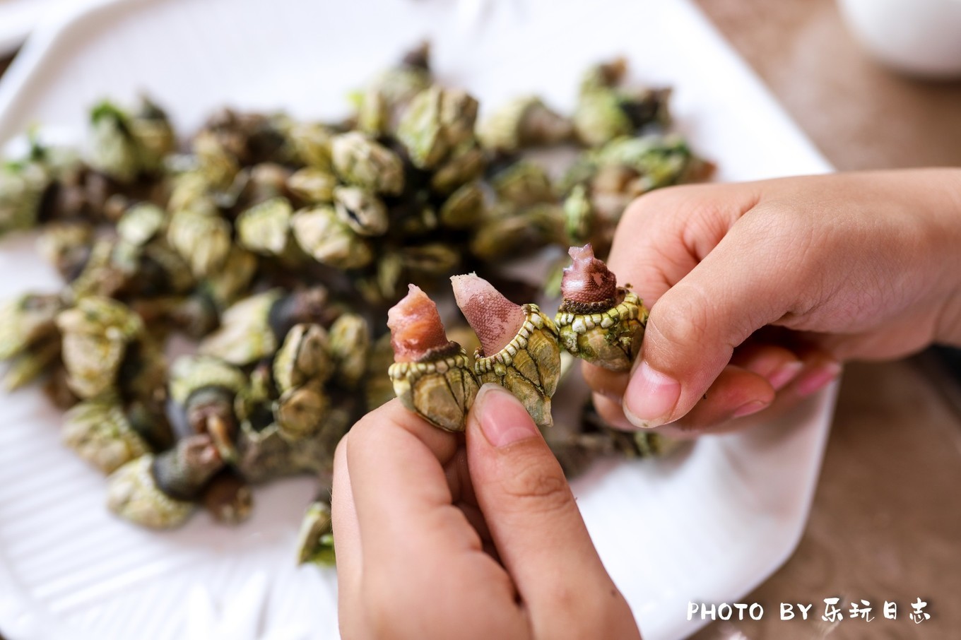 广东平价海岛旅行攻略,广东最美海岛游玩攻略