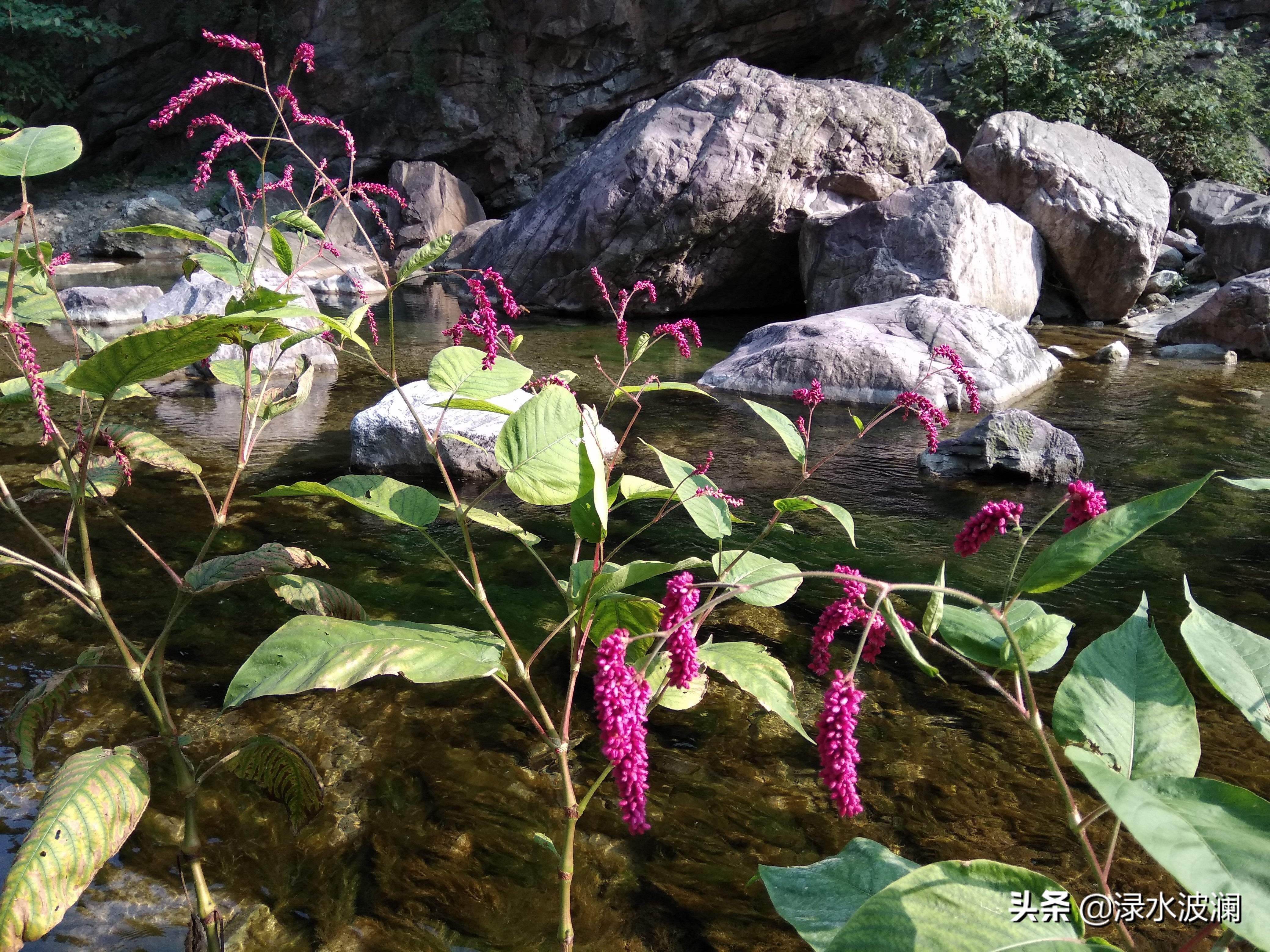 河南新乡辉县八里沟的前世今生,河南辉县八里沟景区如何