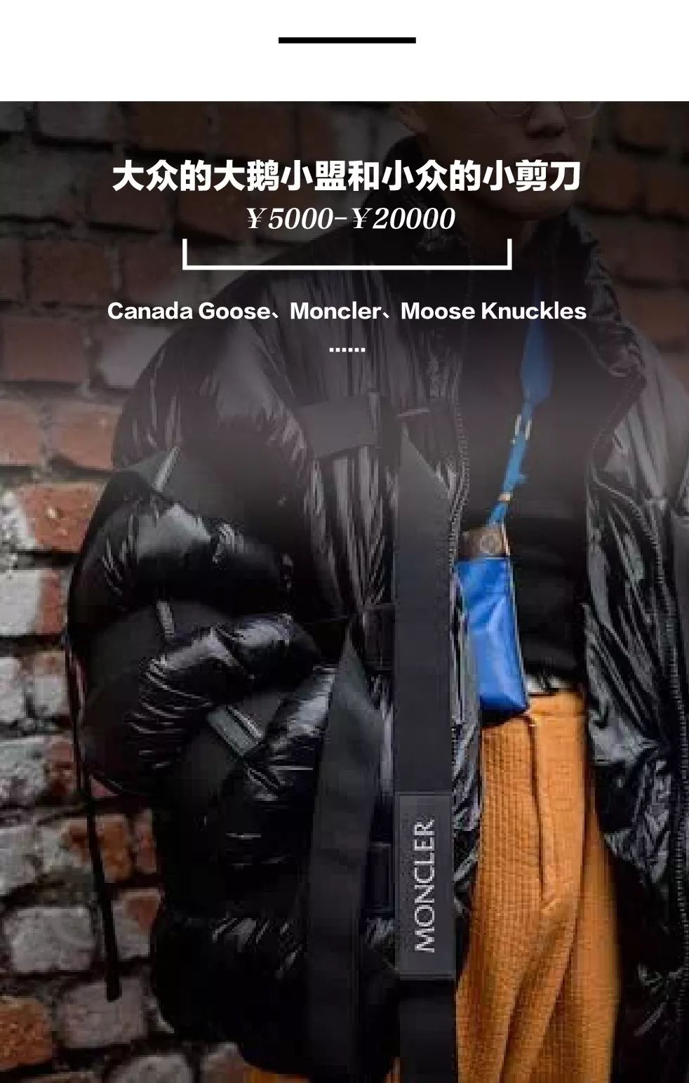 从一百到一千的羽绒服怎么选,男大牌羽绒服怎么选