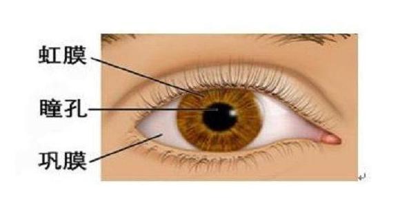 孩子眼睛眼白处有灰黑点,孩子眼睛眼白有黑斑咋回事