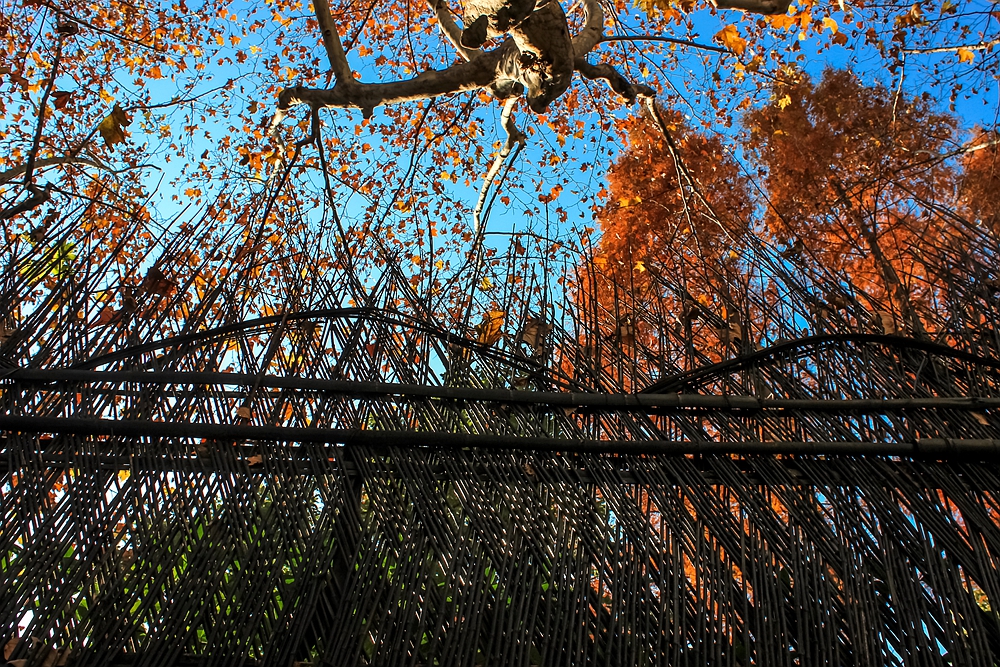 行走老上海全攻略,上海原法租界徒步一日游