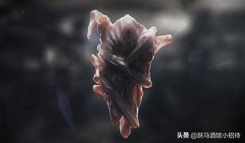 异星觉醒的其他结局,异星觉醒太空版结局