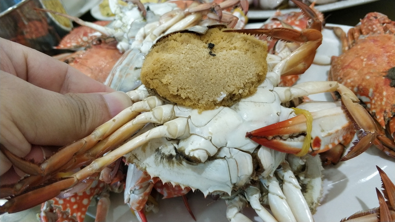 20200906骑行中国第一大火山岛——硇洲岛