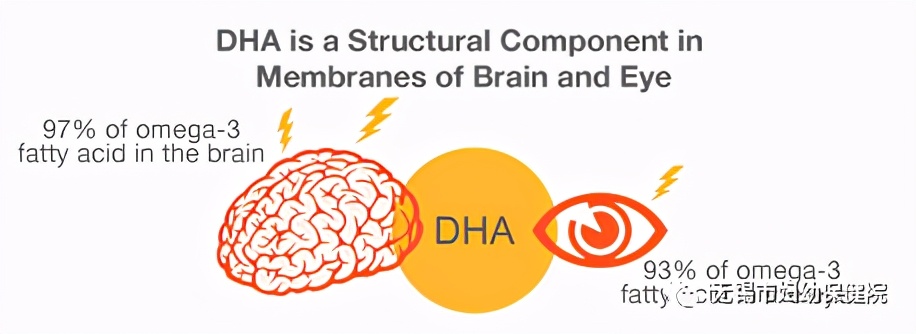 现在流行吃dha到底有没有效果,医生告诉你dha儿童用不用补
