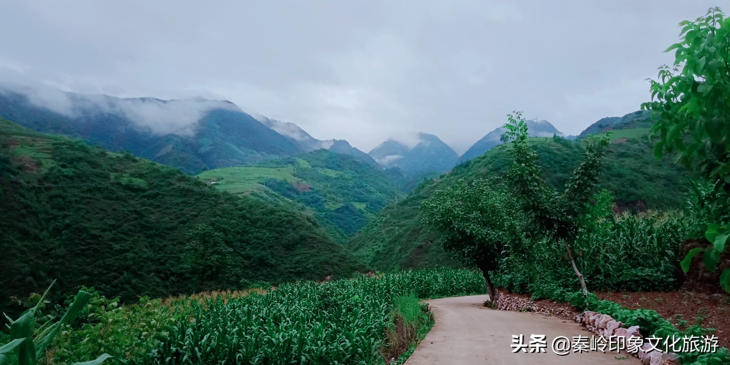 沁源赋作品欣赏,沁源赋文学总结