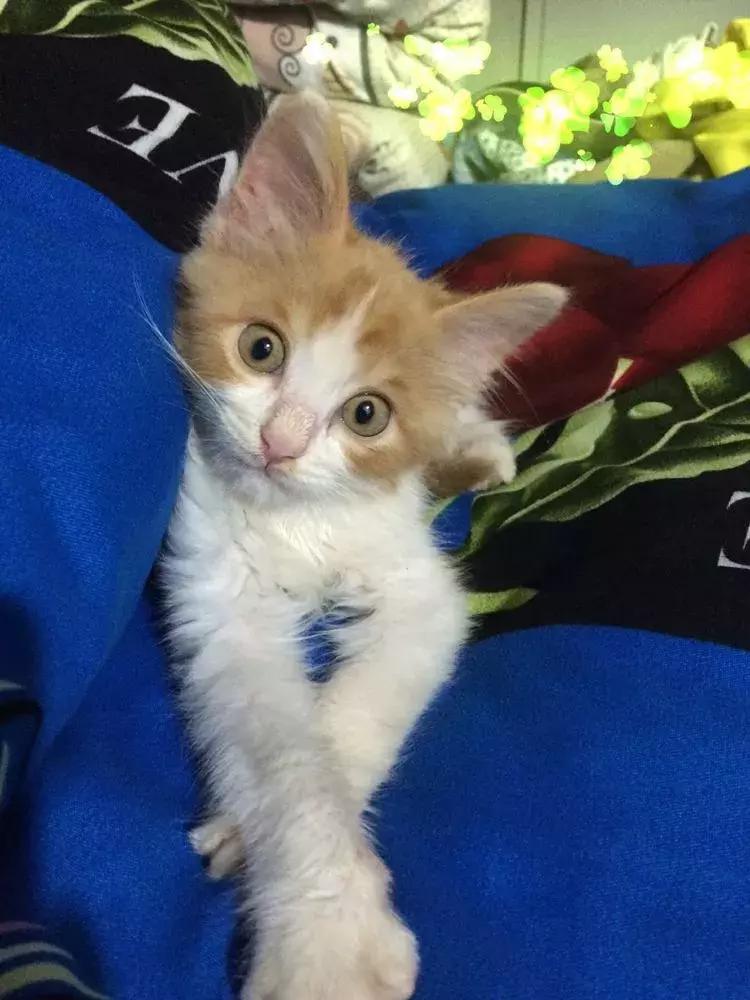 真实的特岗教师生活,任明杰特岗教师生活记录