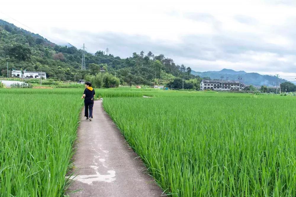 西昌市楠溪客栈民宿,温州楠溪月溪壹号民宿