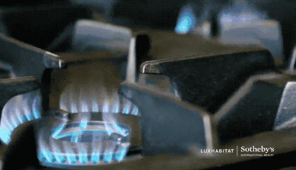 奢靡的豪宅,迪拜超级富豪的奢侈生活