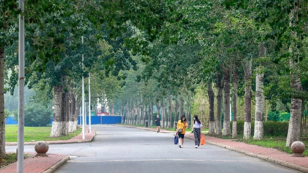 北京科技大学天津学院原独立学院,北京科技大学天津学院独立学院