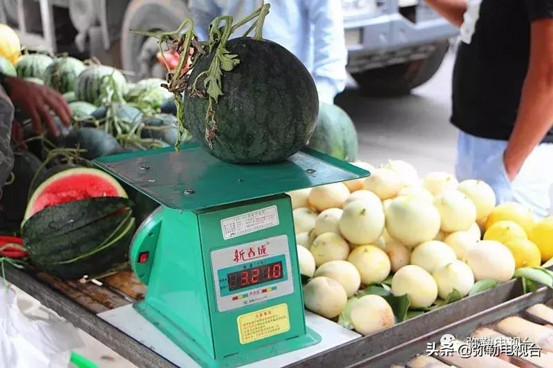 弥勒千亩西瓜熟了!黄心瓜、红心瓜、小香瓜…你喜欢哪种?
