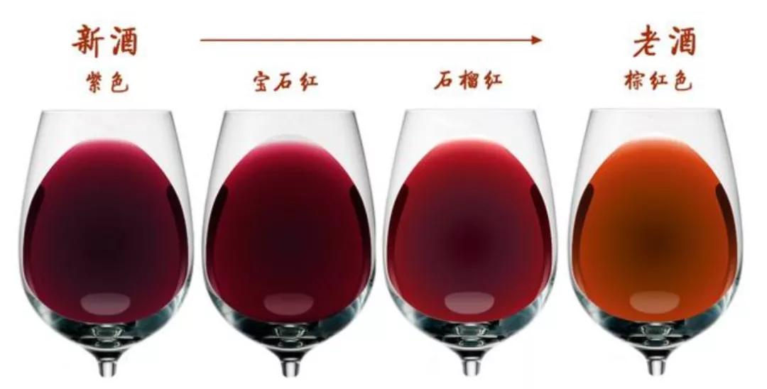 葡萄酒分类知识全梳理,一分钟搞懂葡萄酒分类