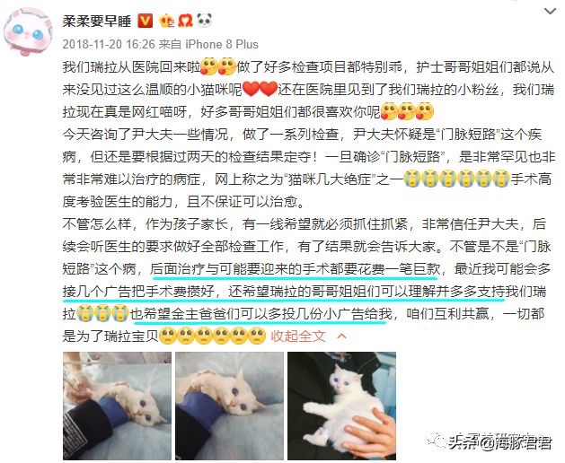 北京小公主靠吸猫血成百万大V，直播整容、大照骗、2年养死3只猫