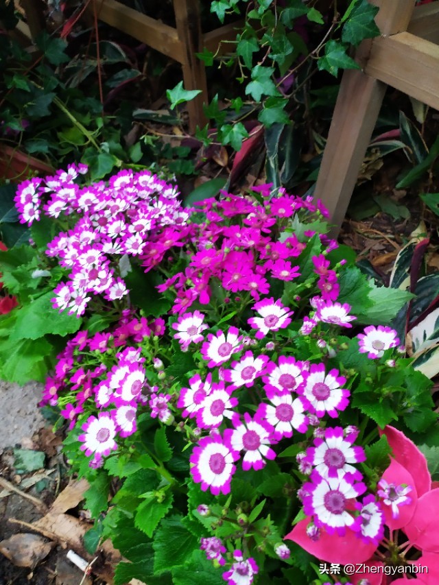 福州鼓山风景区大门,福州于山风景区开放时间最新消息