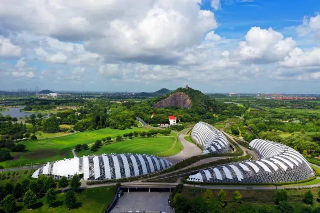 他出生河南,双一流博士毕业,手握国家级荣誉,还是上海市专门引进的人才!