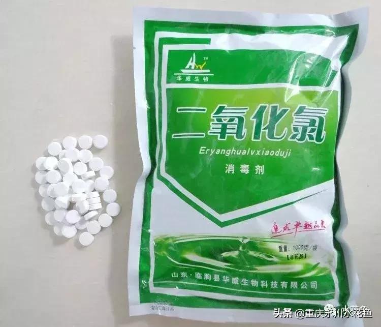 鲢鳙出血病防治方法,花白鲢败血症用什么药