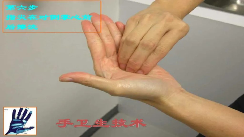 课件-陪护人员医院感染知识培训