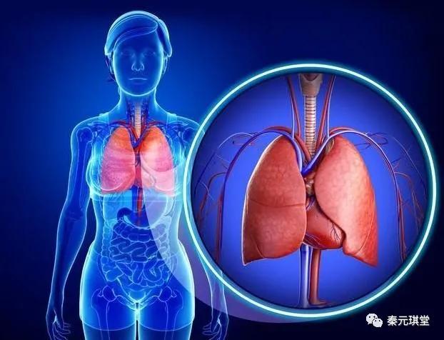 听歌也能养生,听歌也能治愈心灵