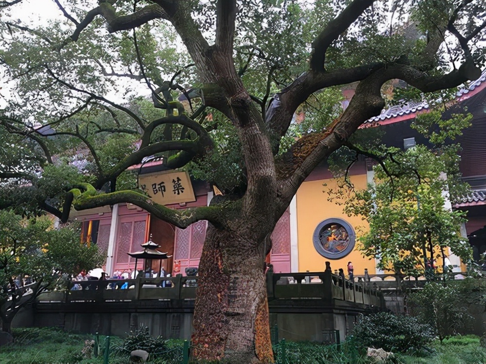 灵隐寺四大古寺,灵隐寺称为天下第一寺吗