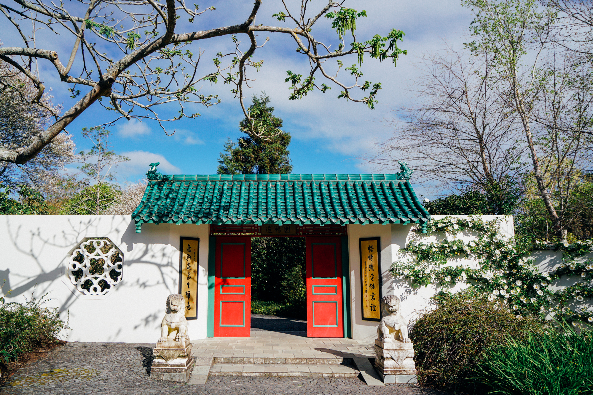 为什么说新西兰是纯净的,新西兰北岛有值得去的地方吗